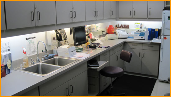 Diagnostic Testing Lab